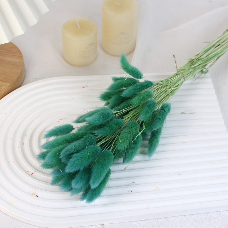 Natural Dried Bunny Tail Grass - Whimsical Decor for Every Occasion - Image 8
