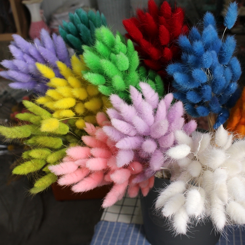 Natural Dried Bunny Tail Grass - Whimsical Decor for Every Occasion - Image 13