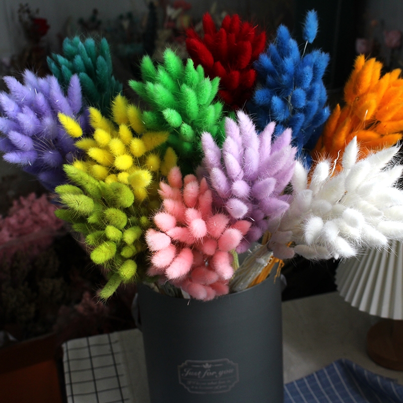 Natural Dried Bunny Tail Grass - Whimsical Decor for Every Occasion - Image 14