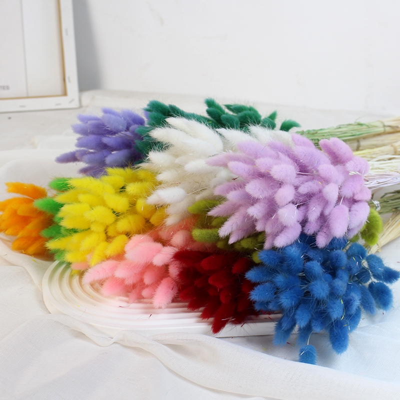 Natural Dried Bunny Tail Grass - Whimsical Decor for Every Occasion - Image 15