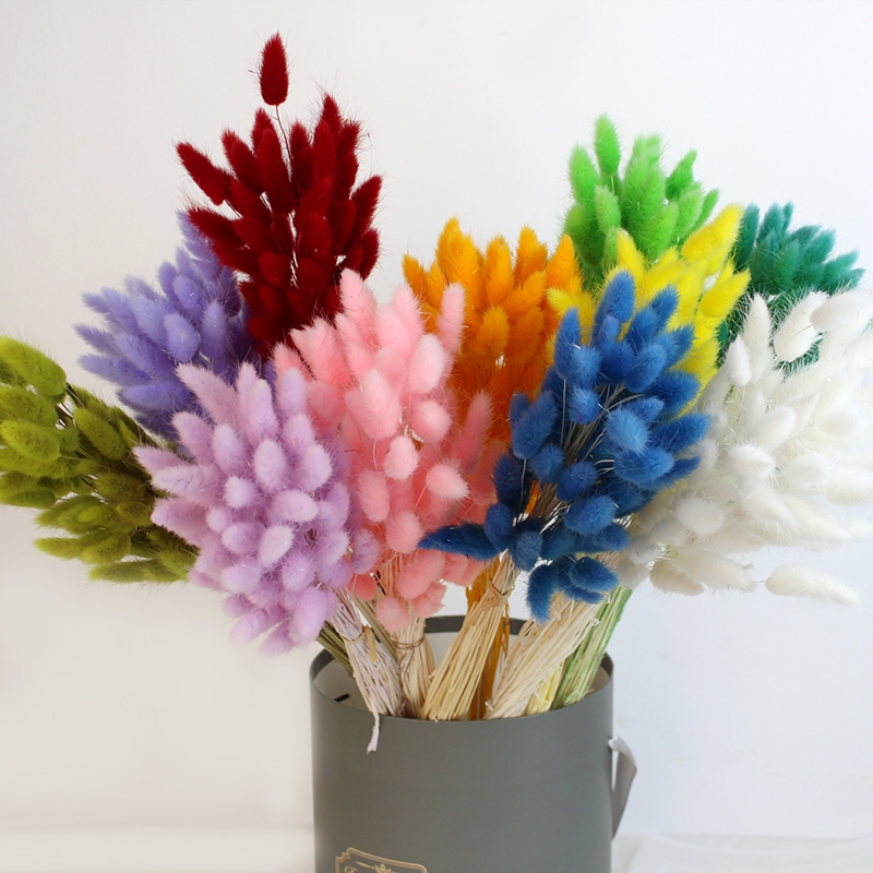 Natural Dried Bunny Tail Grass - Whimsical Decor for Every Occasion - Image 16