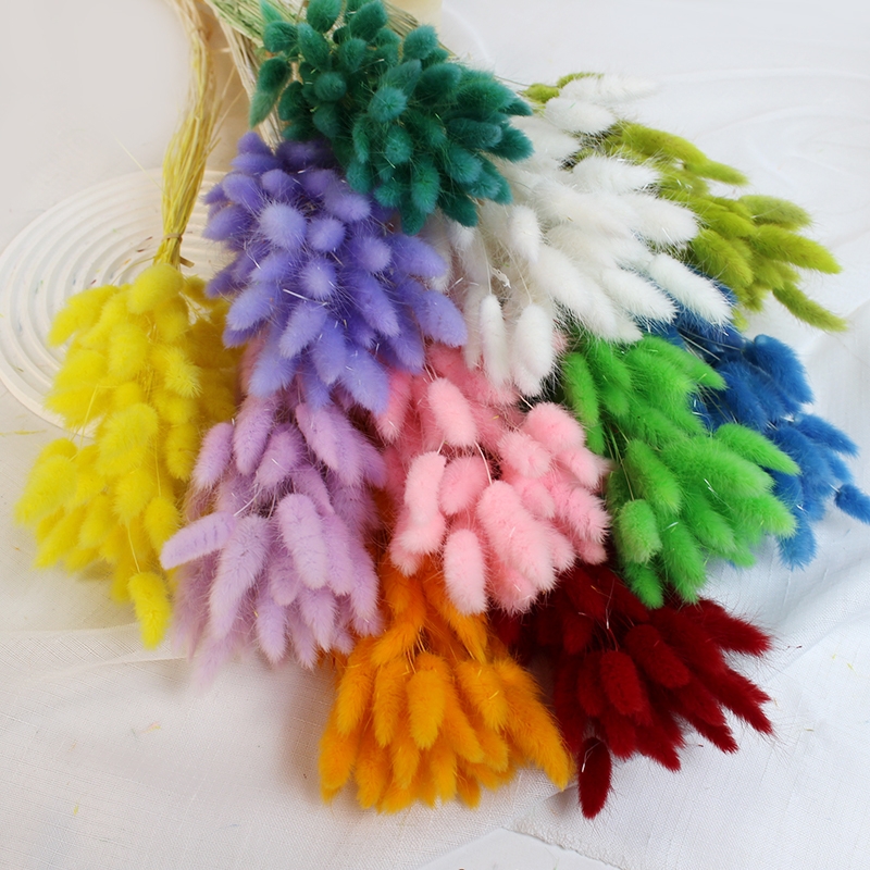 Natural Dried Bunny Tail Grass - Whimsical Decor for Every Occasion - Image 17
