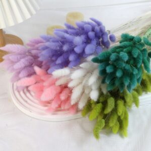 Natural Dried Bunny Tail Grass - Whimsical Decor for Every Occasion