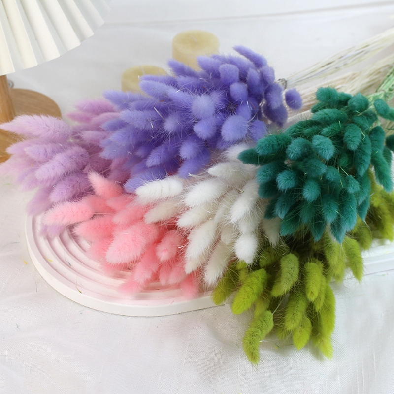 Natural Dried Bunny Tail Grass - Whimsical Decor for Every Occasion