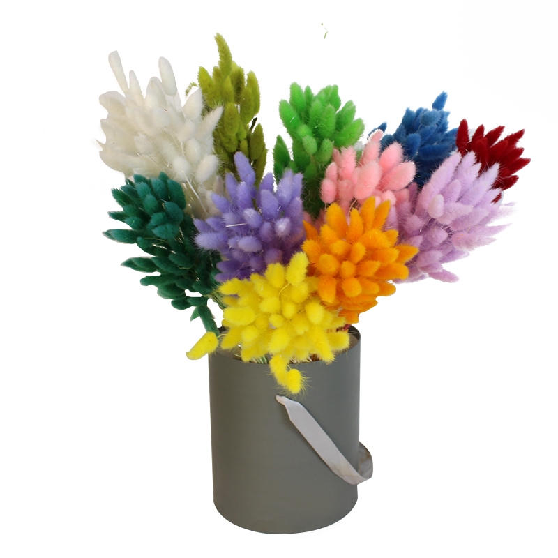 Natural Dried Bunny Tail Grass - Whimsical Decor for Every Occasion - Image 19