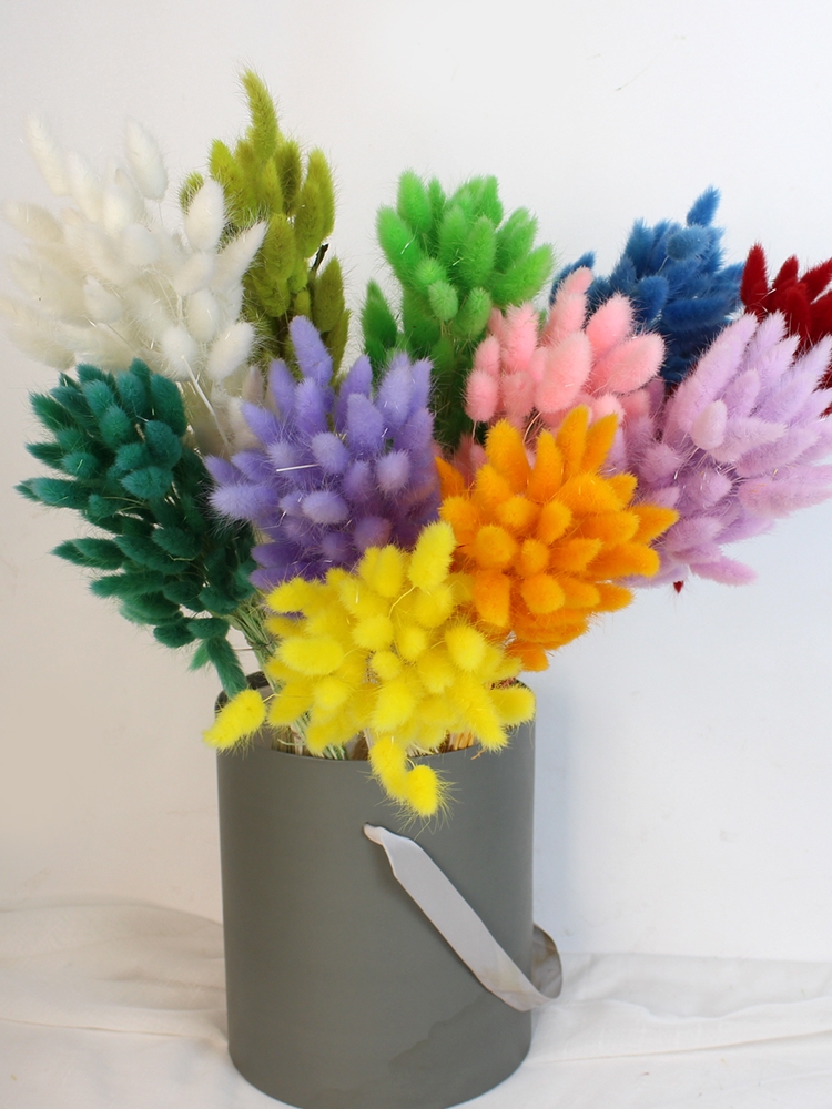 Natural Dried Bunny Tail Grass - Whimsical Decor for Every Occasion - Image 20