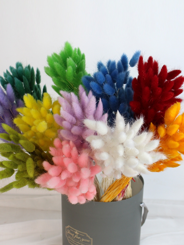 Natural Dried Bunny Tail Grass - Whimsical Decor for Every Occasion - Image 21