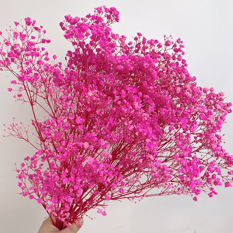 Preserved Baby's Breath (Gypsophila) - Everlasting Blooms for Every Occasion - Image 3