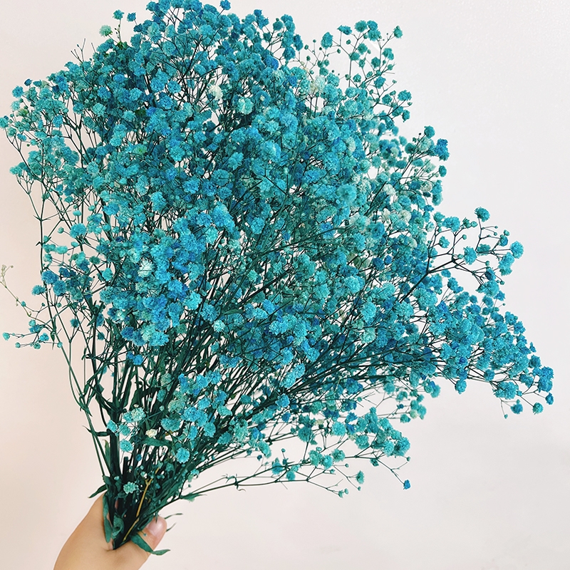 Preserved Baby's Breath (Gypsophila) - Everlasting Blooms for Every Occasion - Image 5