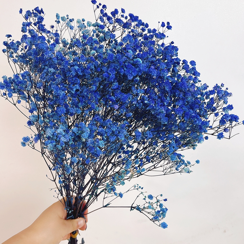 Preserved Baby's Breath (Gypsophila) - Everlasting Blooms for Every Occasion - Image 6