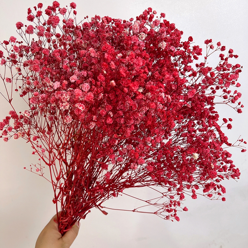 Preserved Baby's Breath (Gypsophila) - Everlasting Blooms for Every Occasion - Image 8