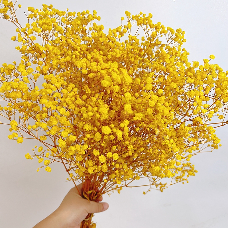 Preserved Baby's Breath (Gypsophila) - Everlasting Blooms for Every Occasion - Image 9