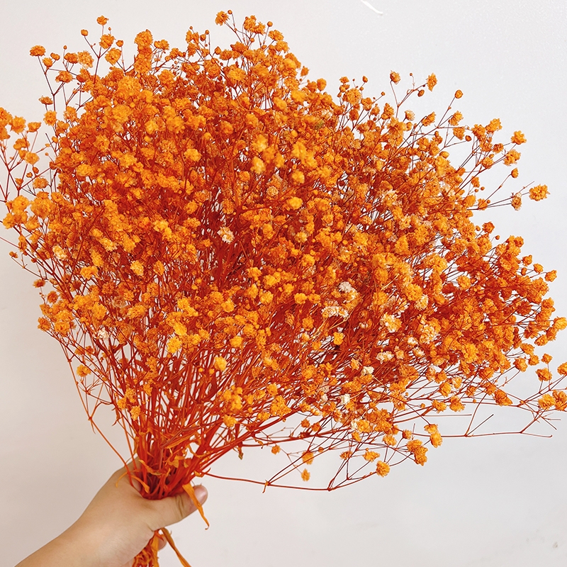 Preserved Baby's Breath (Gypsophila) - Everlasting Blooms for Every Occasion - Image 10