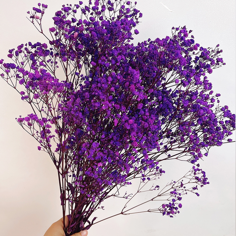 Preserved Baby's Breath (Gypsophila) - Everlasting Blooms for Every Occasion - Image 11