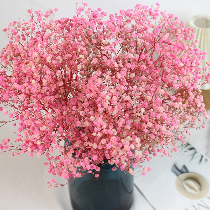 Preserved Baby's Breath (Gypsophila) - Everlasting Blooms for Every Occasion - Image 12