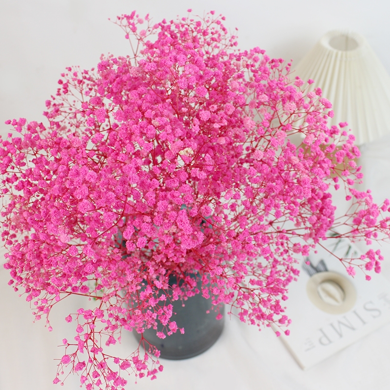 Preserved Baby's Breath (Gypsophila) - Everlasting Blooms for Every Occasion - Image 13