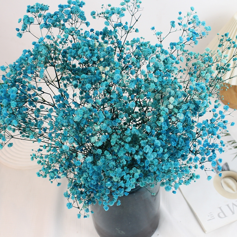 Preserved Baby's Breath (Gypsophila) - Everlasting Blooms for Every Occasion - Image 15