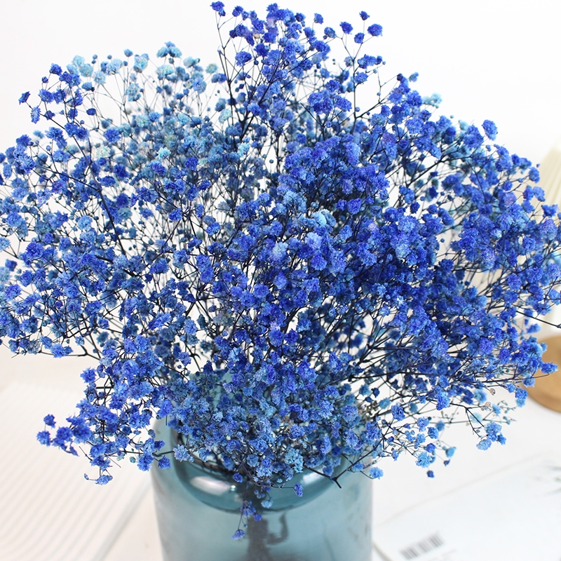 Preserved Baby's Breath (Gypsophila) - Everlasting Blooms for Every Occasion - Image 16