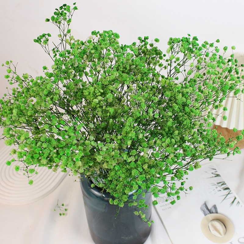 Preserved Baby's Breath (Gypsophila) - Everlasting Blooms for Every Occasion - Image 17