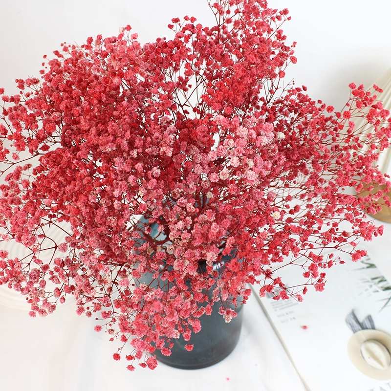 Preserved Baby's Breath (Gypsophila) - Everlasting Blooms for Every Occasion - Image 18