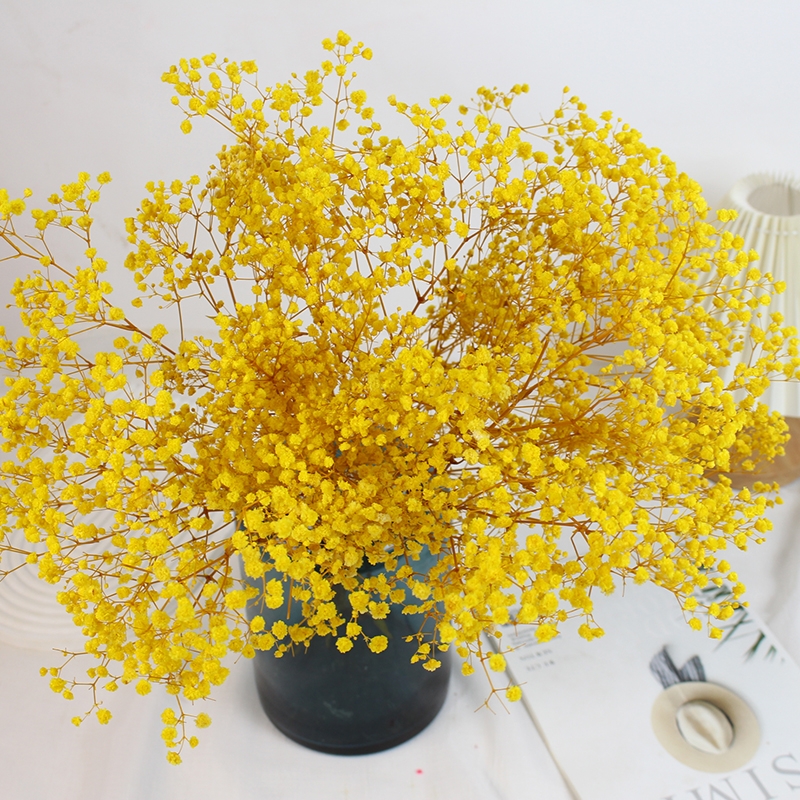 Preserved Baby's Breath (Gypsophila) - Everlasting Blooms for Every Occasion - Image 19