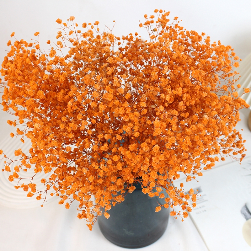 Preserved Baby's Breath (Gypsophila) - Everlasting Blooms for Every Occasion - Image 20