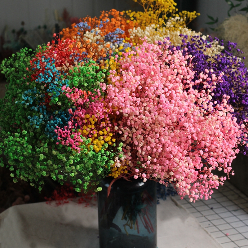 Preserved Baby's Breath (Gypsophila) - Everlasting Blooms for Every Occasion - Image 21