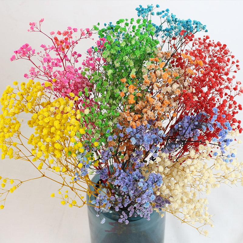 Preserved Baby's Breath (Gypsophila) - Everlasting Blooms for Every Occasion - Image 22