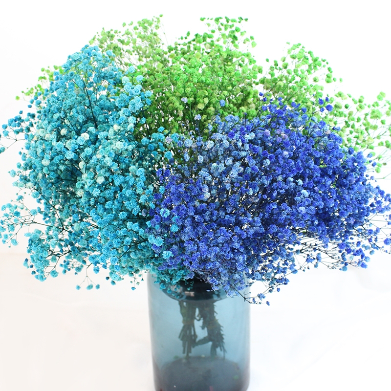 Preserved Baby's Breath (Gypsophila) - Everlasting Blooms for Every Occasion - Image 23