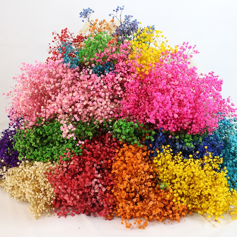 Preserved Baby's Breath (Gypsophila) - Everlasting Blooms for Every Occasion - Image 25