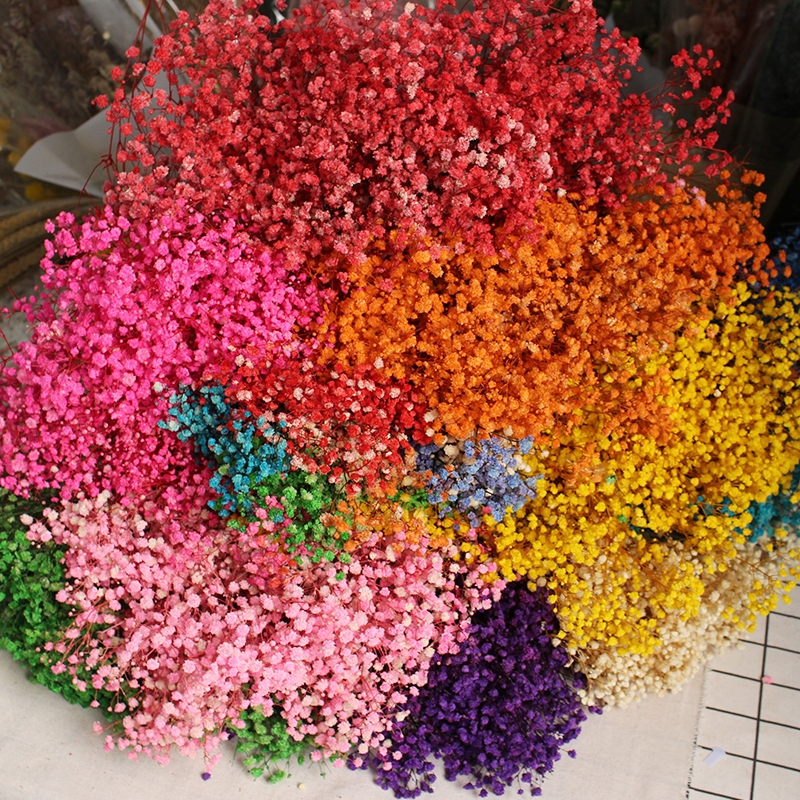 Preserved Baby's Breath (Gypsophila) - Everlasting Blooms for Every Occasion - Image 26