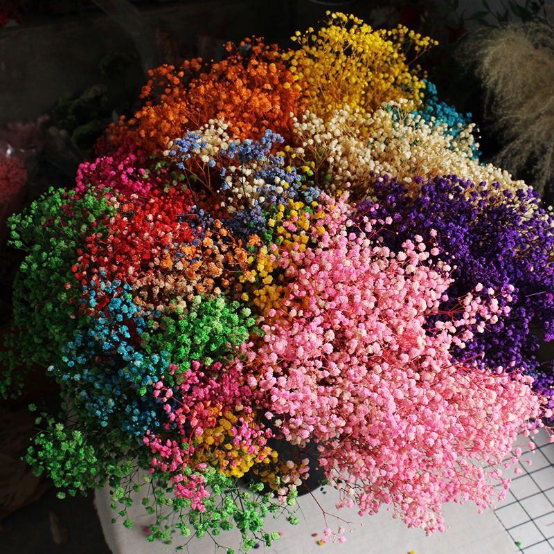 Preserved Baby's Breath (Gypsophila) - Everlasting Blooms for Every Occasion - Image 27