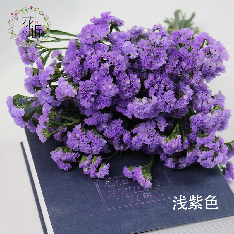 Dried Forget Me Not Flowers - Everlasting Blooms from Yunnan, China - Image 4