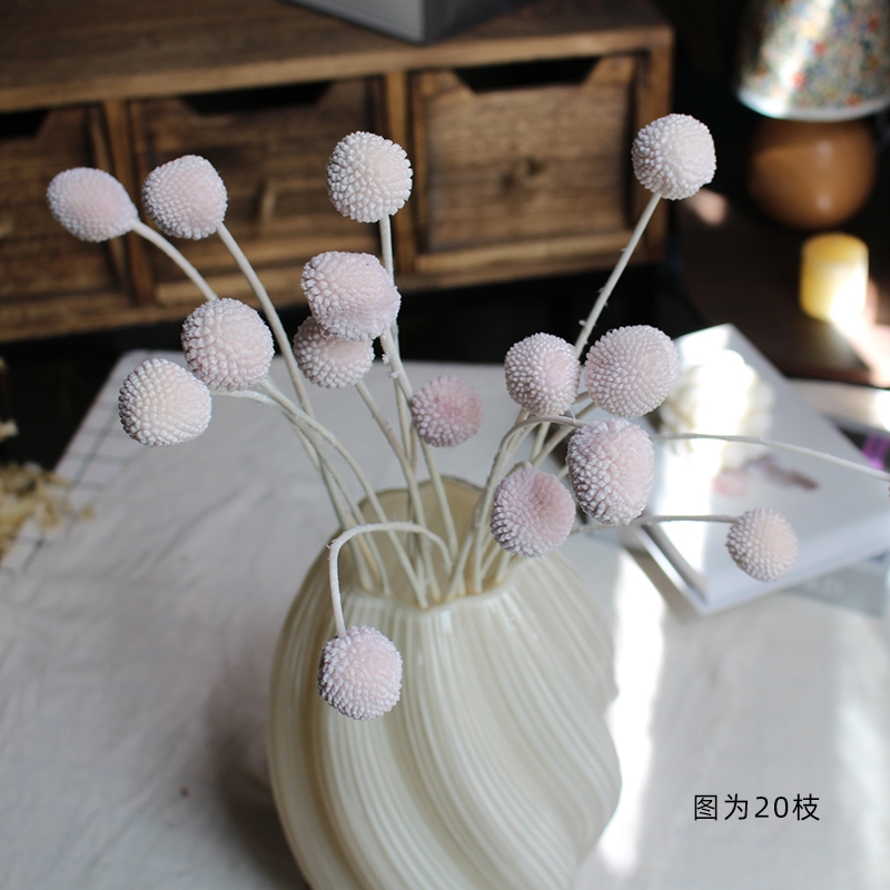 Preserved Craspedia (Billy Balls / Golden Balls) - Everlasting Colorful Blooms - Image 3