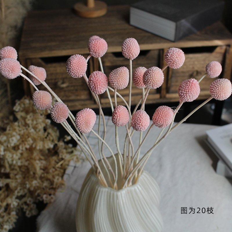 Preserved Craspedia (Billy Balls / Golden Balls) - Everlasting Colorful Blooms - Image 4