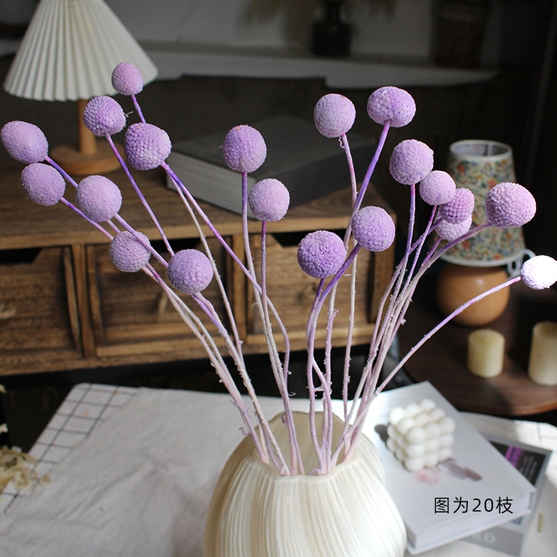 Preserved Craspedia (Billy Balls / Golden Balls) - Everlasting Colorful Blooms - Image 6