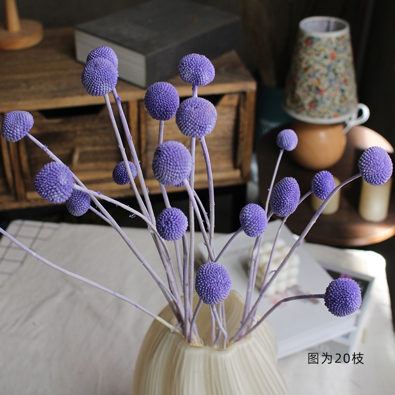 Preserved Craspedia (Billy Balls / Golden Balls) - Everlasting Colorful Blooms - Image 7