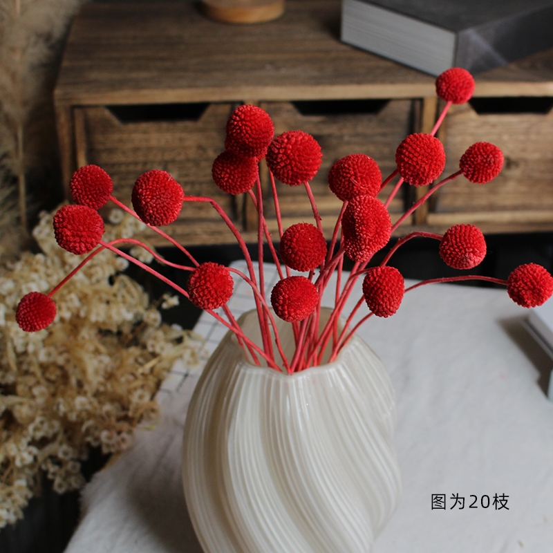 Preserved Craspedia (Billy Balls / Golden Balls) - Everlasting Colorful Blooms - Image 9