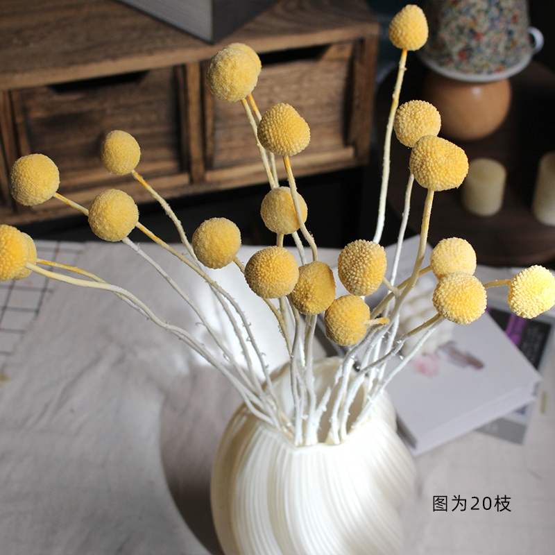 Preserved Craspedia (Billy Balls / Golden Balls) - Everlasting Colorful Blooms - Image 12