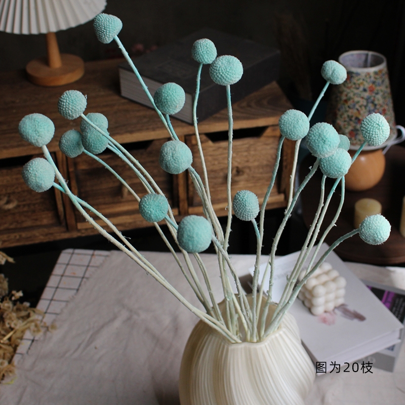 Preserved Craspedia (Billy Balls / Golden Balls) - Everlasting Colorful Blooms - Image 13