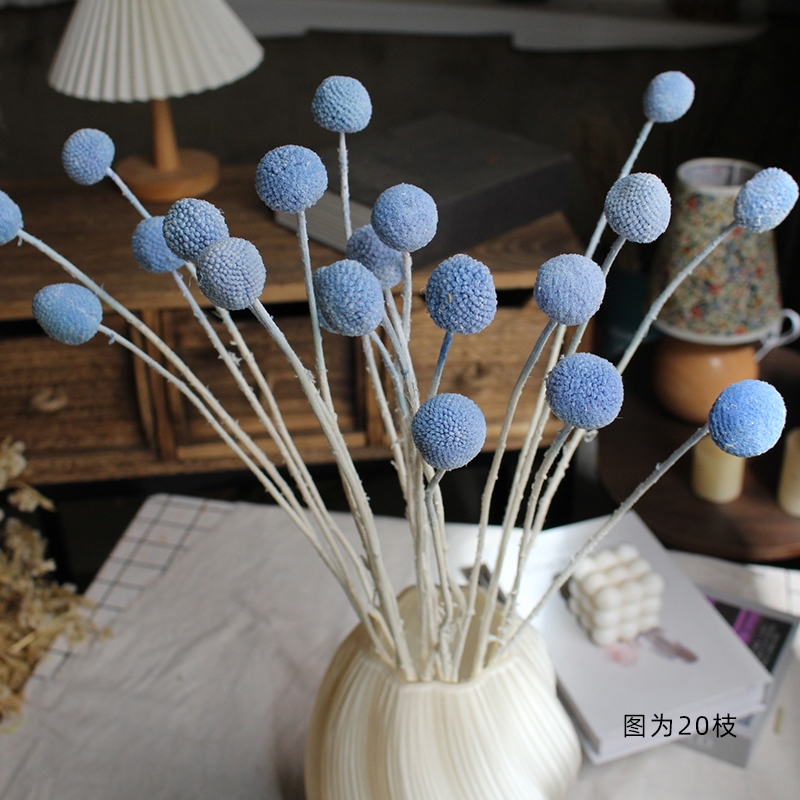 Preserved Craspedia (Billy Balls / Golden Balls) - Everlasting Colorful Blooms - Image 14