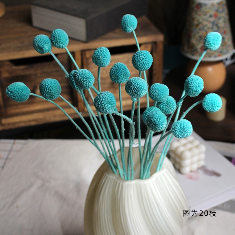 Preserved Craspedia (Billy Balls / Golden Balls) - Everlasting Colorful Blooms - Image 15