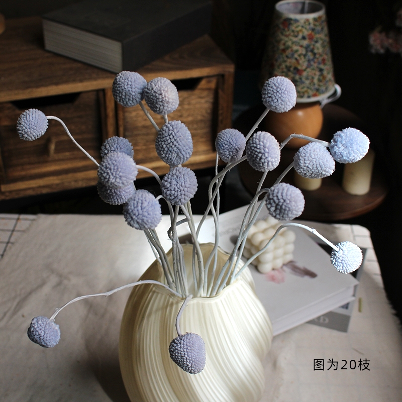 Preserved Craspedia (Billy Balls / Golden Balls) - Everlasting Colorful Blooms - Image 16