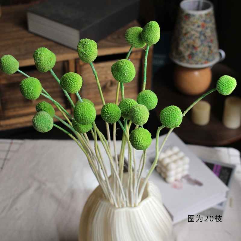 Preserved Craspedia (Billy Balls / Golden Balls) - Everlasting Colorful Blooms - Image 17