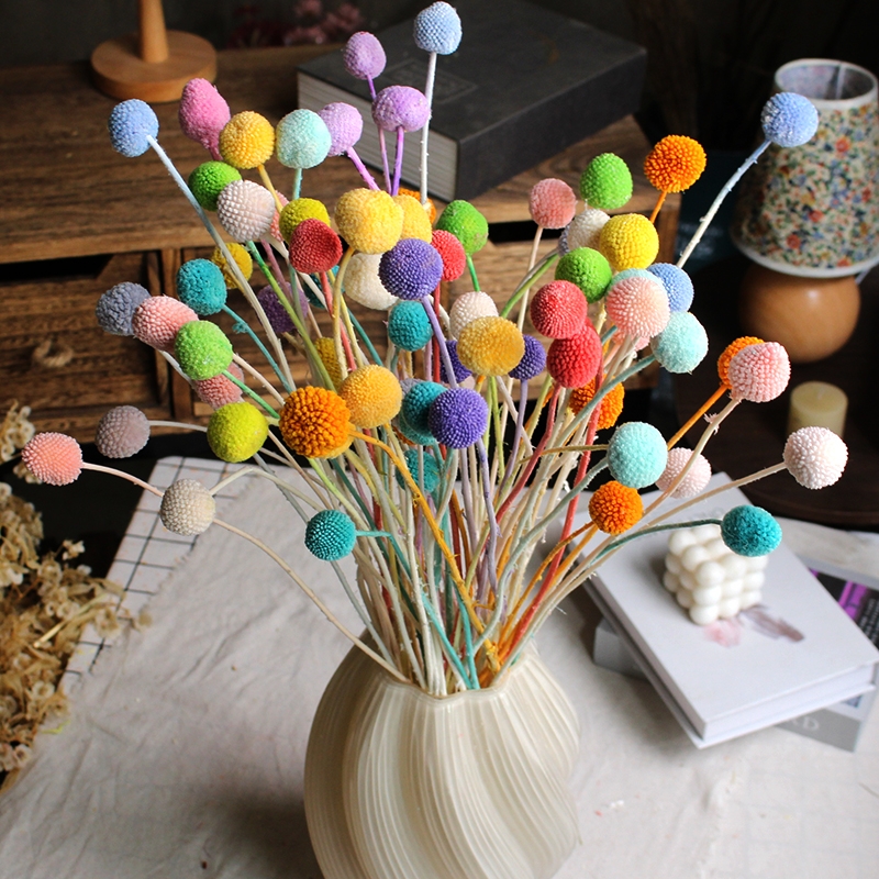 Preserved Craspedia (Billy Balls / Golden Balls) - Everlasting Colorful Blooms - Image 20