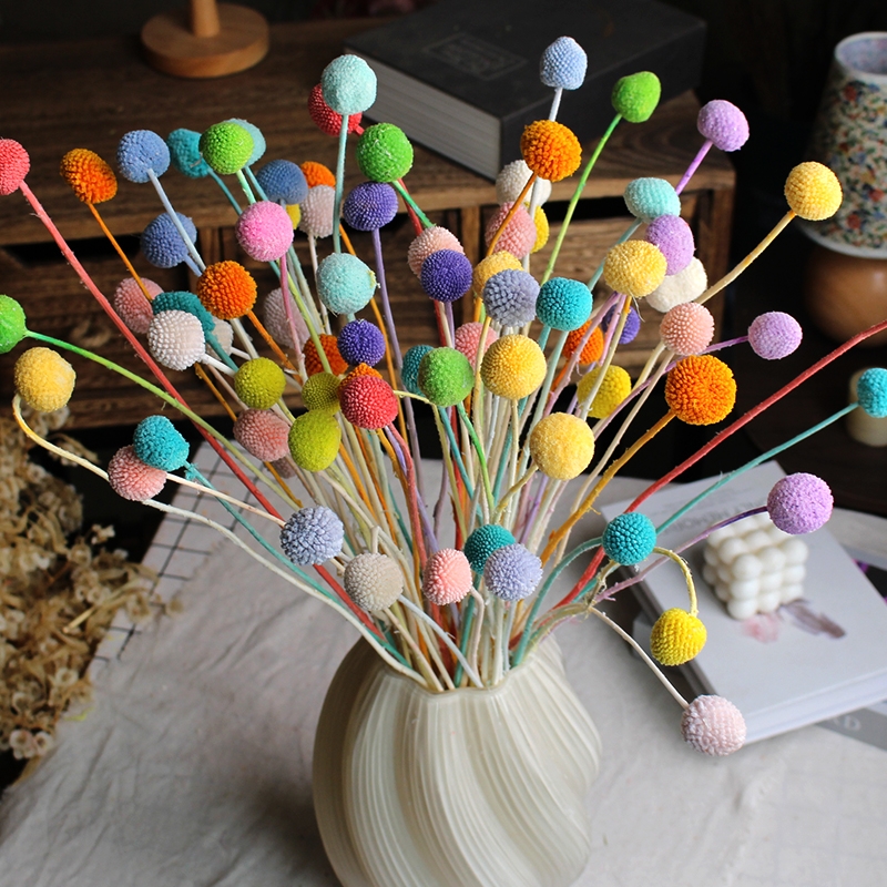 Preserved Craspedia (Billy Balls / Golden Balls) - Everlasting Colorful Blooms - Image 21