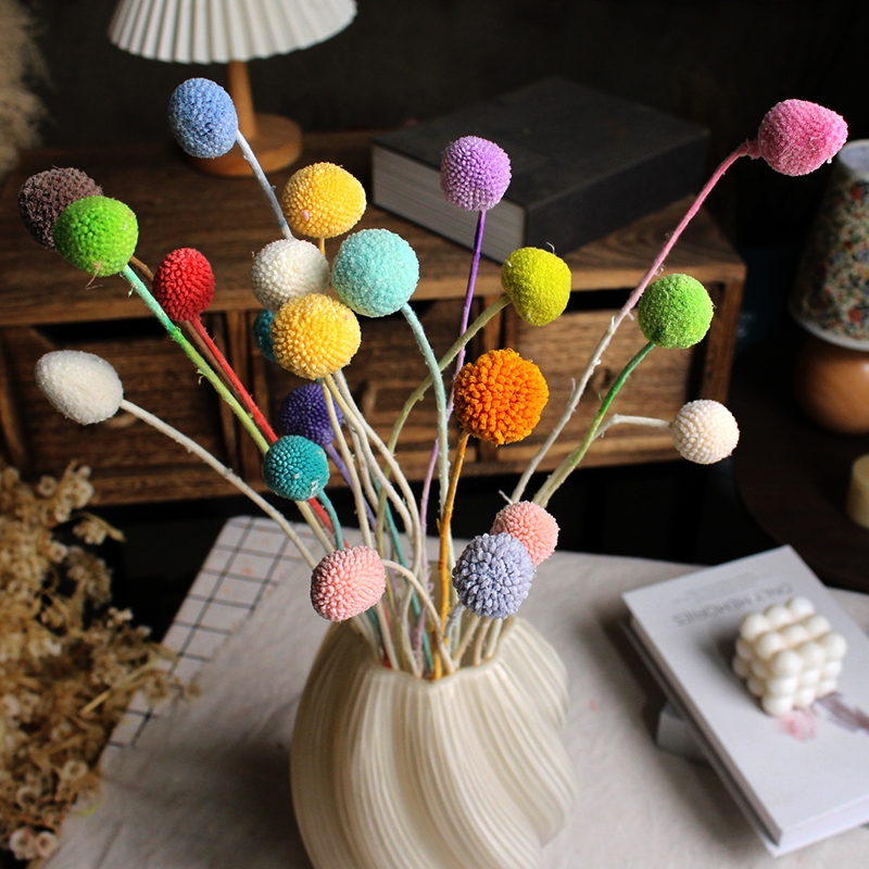 Preserved Craspedia (Billy Balls / Golden Balls) - Everlasting Colorful Blooms - Image 22