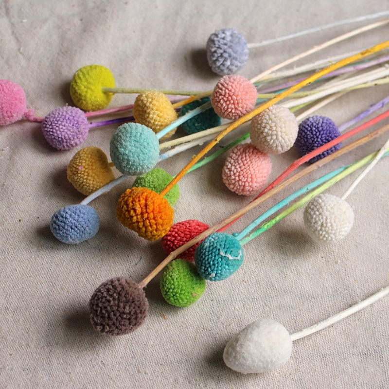 Preserved Craspedia (Billy Balls / Golden Balls) - Everlasting Colorful Blooms - Image 23