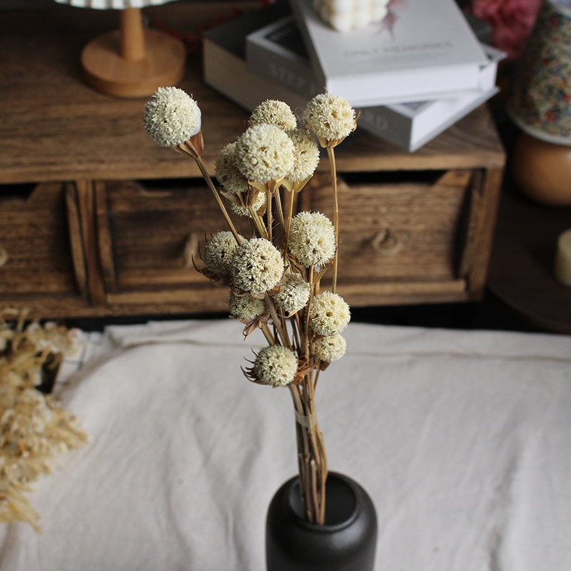 Dried Lulutong (Liquidambar) Flower Stems - Rustic Everlasting Decor Blooms - Image 2