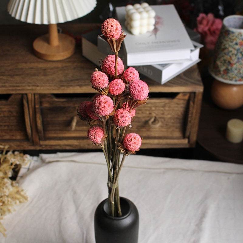 Dried Lulutong (Liquidambar) Flower Stems - Rustic Everlasting Decor Blooms - Image 3